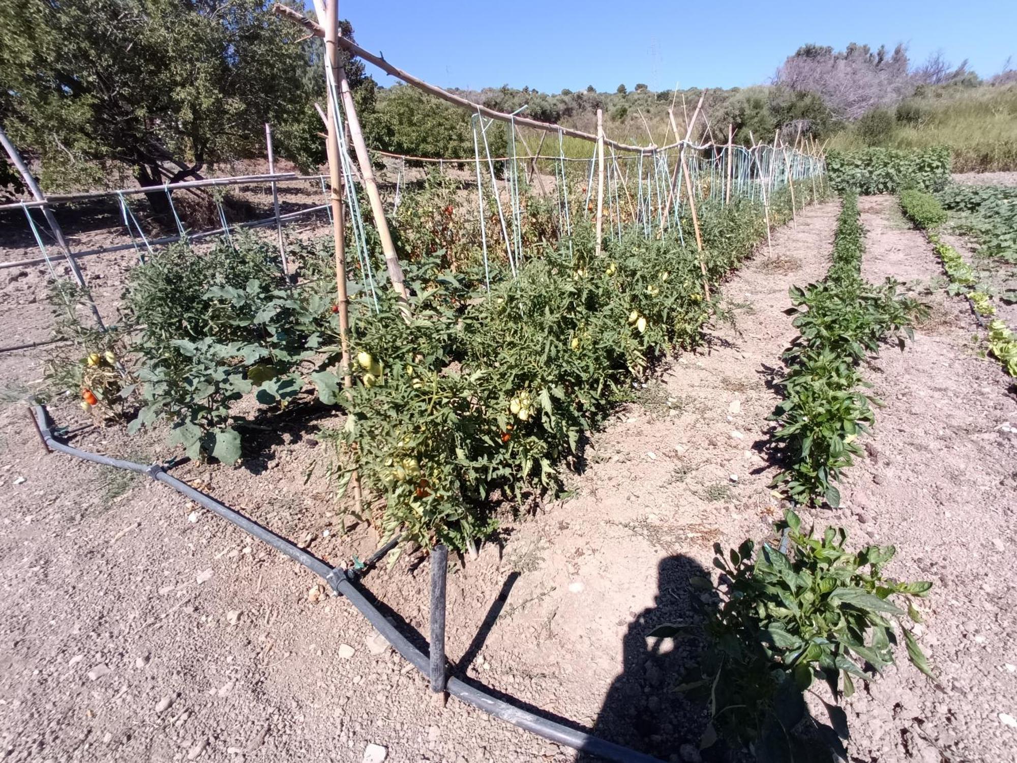 라스카리 Agriturismo Le Campanelle - Sicilia - Cefalu 빌라 외부 사진